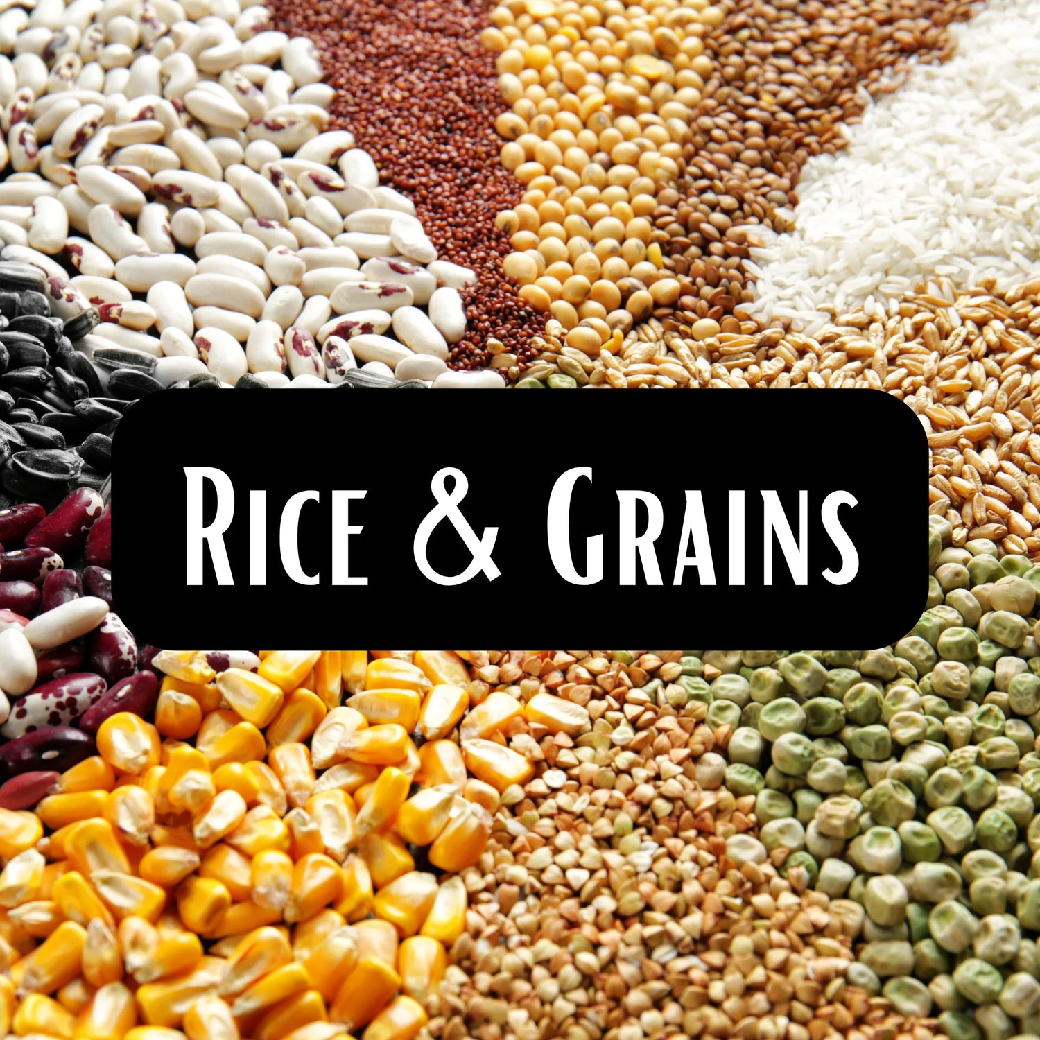 Rice & Grains