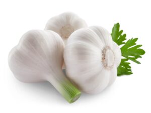 garlic-picture