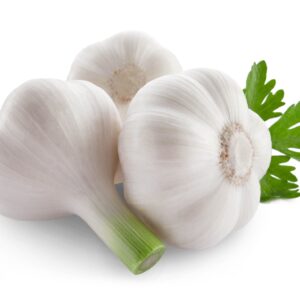 garlic-picture